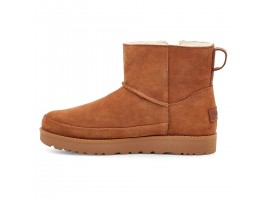 Zip Mini Boots - Chestnut