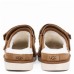 Goldenstar Clog - Chestnut