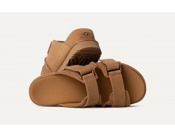 Goldenstar Hi Slide - Chestnut
