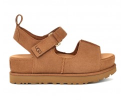 Goldenstar Hi - Chestnut