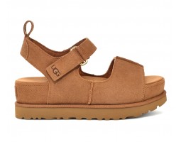 Goldenstar Hi - Chestnut