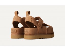 Goldenstar Hi - Chestnut