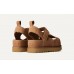 Goldenstar Hi - Chestnut