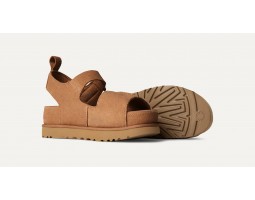 Goldenstar Hi - Chestnut