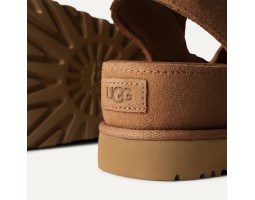 Goldenstar Hi - Chestnut