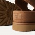 Goldenstar Hi - Chestnut