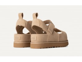 Goldenstar Hi - Sand