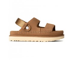 Goldenstar Glide - Chestnut