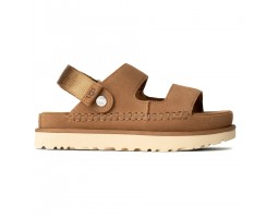 Goldenstar Glide - Chestnut