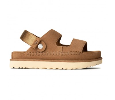 Goldenstar Glide - Chestnut