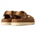 Goldenstar Glide - Chestnut