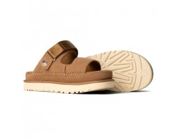 Goldenstar Glide - Chestnut