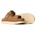 Goldenstar Glide - Chestnut