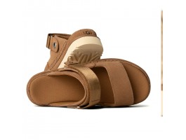 Goldenstar Glide - Chestnut