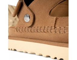 Goldenstar Glide - Chestnut
