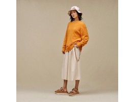 Goldenstar Glide - Chestnut