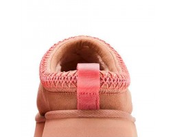Tazz Love ’25 - Arroyo Tropical Pink