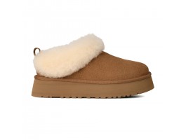 Tazzelle - Chestnut Tazzelle - Chestnut