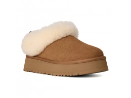 Tazzelle - Chestnut Tazzelle - Chestnut