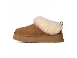 Tazzelle - Chestnut Tazzelle - Chestnut