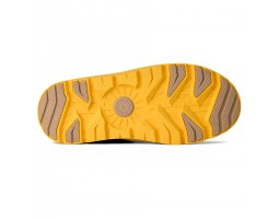 Ultra Mini Weather Hybrid - Mustard Seed / Summer Wheat