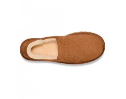 UGG Hayden Slip-On - Chestnut UGG Hayden Slip-On - Chestnut