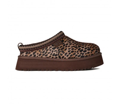 Tazz - Caspian Tazz - Caspian