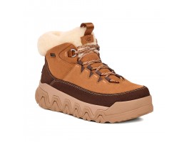 TerreTrail Cozy Lace - Chestnut