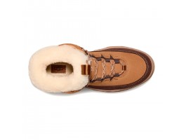 TerreTrail Cozy Lace - Chestnut