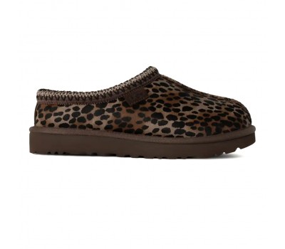 Tasman Caspian Tasman Caspian