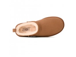 Classic Micro - Chestnut Classic Micro - Chestnut