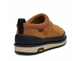 Tasman GTX - Chestnut