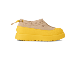 Kids Tasman Weather Hybrid Mustard Seed Summer Wheat Kids Tasman Weather Hybrid Mustard Seed Summer Wheat
