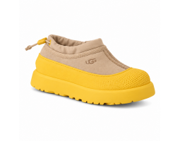 Kids Tasman Weather Hybrid Mustard Seed Summer Wheat Kids Tasman Weather Hybrid Mustard Seed Summer Wheat