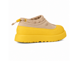 Kids Tasman Weather Hybrid Mustard Seed Summer Wheat Kids Tasman Weather Hybrid Mustard Seed Summer Wheat