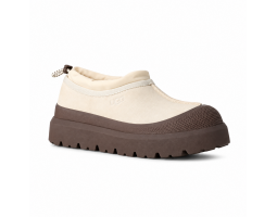 Tasman Weather Hybrid - Jasmine / Molasses Tasman Weather Hybrid - Jasmine / Molasses