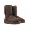 Classic Short Men's - Chocolate