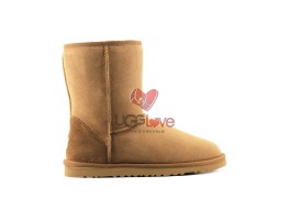Classic Short II - Chestnut Classic Short II - Chestnut